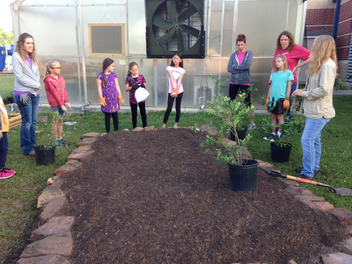 sbuchholz16's tweet photo. JMG planting blueberries. Thank you Mrs. Decker! https://t.co/Cnriy1uJDp