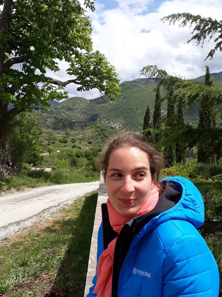 PolyPonyRunRun tweet media