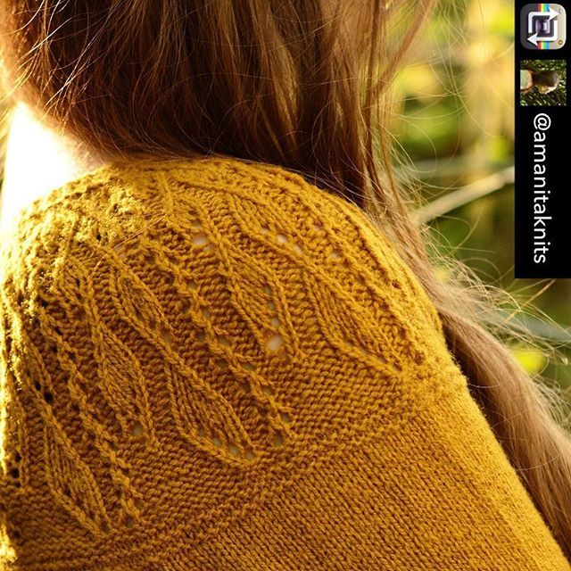 Stitchmastery's tweet photo. Beautiful design from @amanitaknits using #stitchmasterycharts, and there’s a discount till tomorrow! #patternfocus. Repost from @amanitaknits using @RepostRegramApp - My most loved part of "Milva" pullover - lace leaves on the yoke.🍂🌲🍂
I just couldn… https://t.co/HSpv2S2joL https://t.co/ShHoI5Iqer