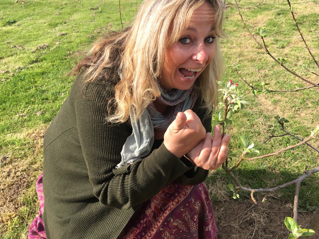 First blossom on our apple trees #summeriscoming