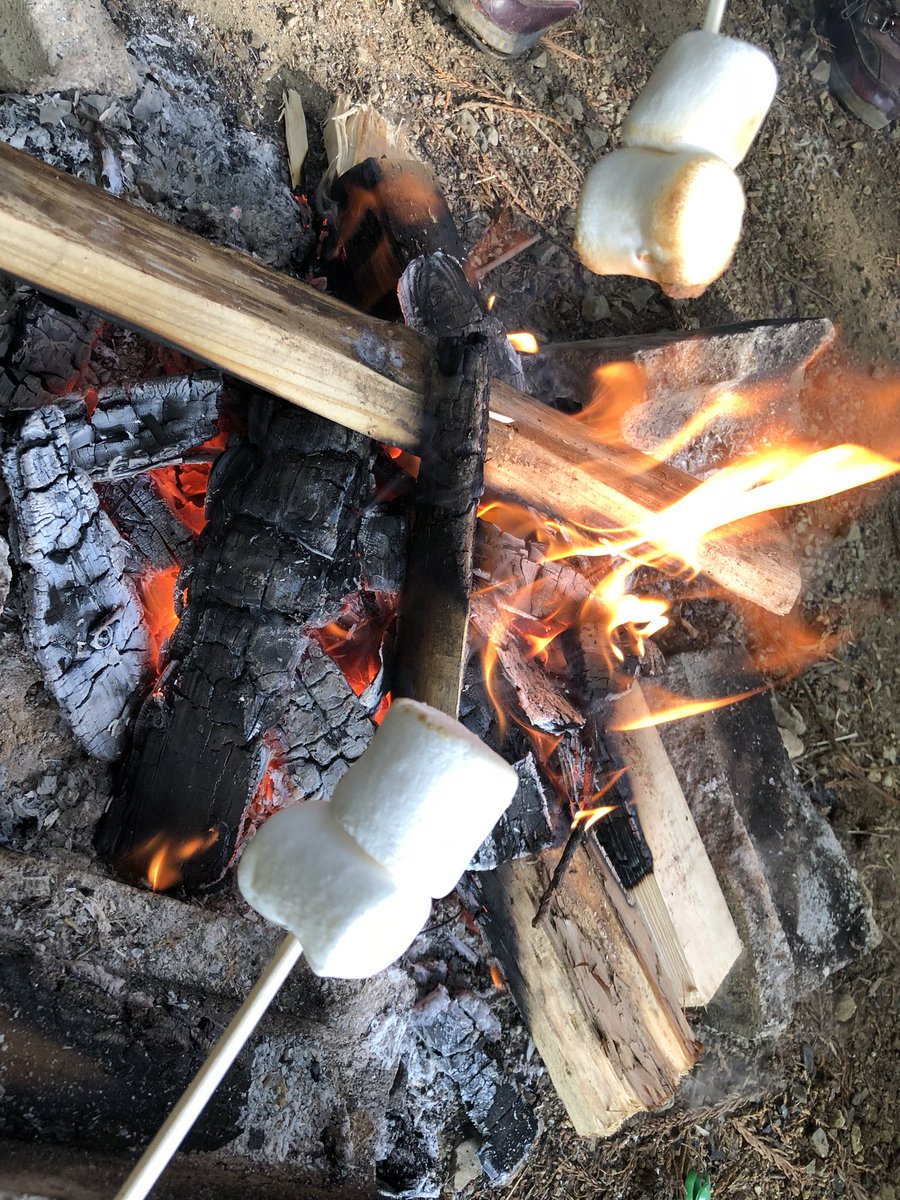 ロレンス Spice Wolf Auf Twitter 四尾連湖キャンプ場で火起こし 松ぼっくり これはマッチ一本で火がつく自然の優秀な着火剤だ かさ が開いている物は乾燥していてよく燃える 初めに松ぼっくりを4個ほど用意 傘が開いているものに火をつけ 乾いた小枝に火を移す