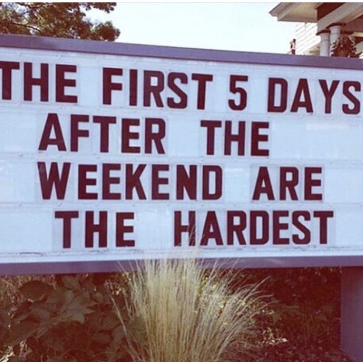 Rosies Exeter tweet media