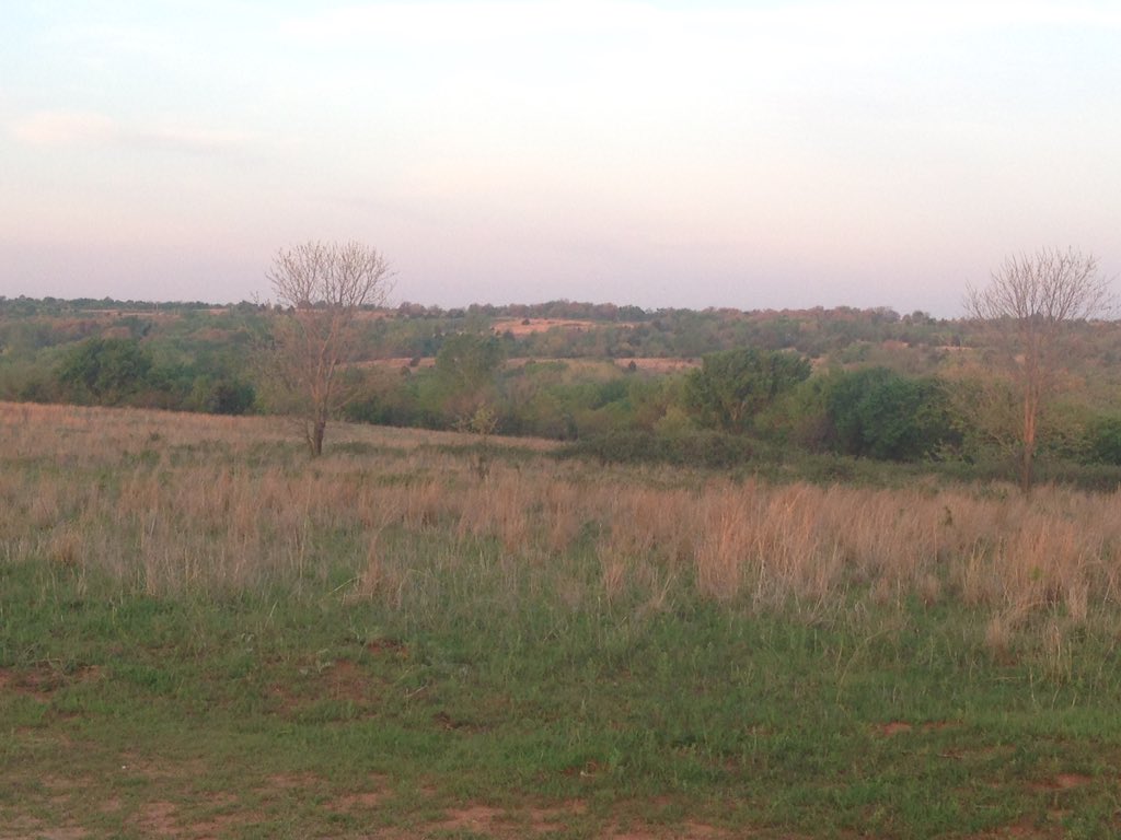 JonGiddens1's tweet photo. #KAEFS is looking great after some predawn #ecophys sampling on eastern redcedar. Time to go make some vulnerability curves! https://t.co/ee8DP0BBqn
