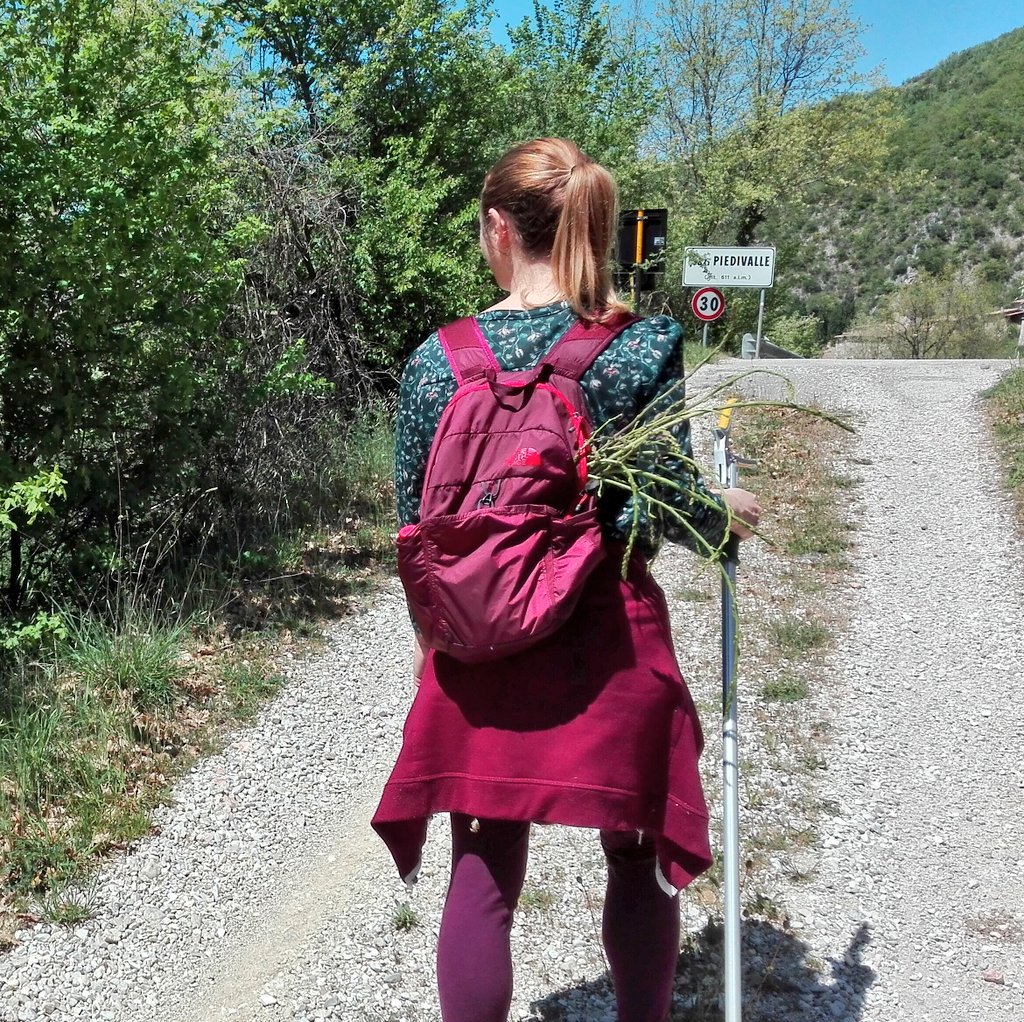 LaviniaMos's tweet photo. #asparagiselvatici #asparagina #piedivalle #umbria #primavera #natura 🌿 https://t.co/qTh0tShhu2