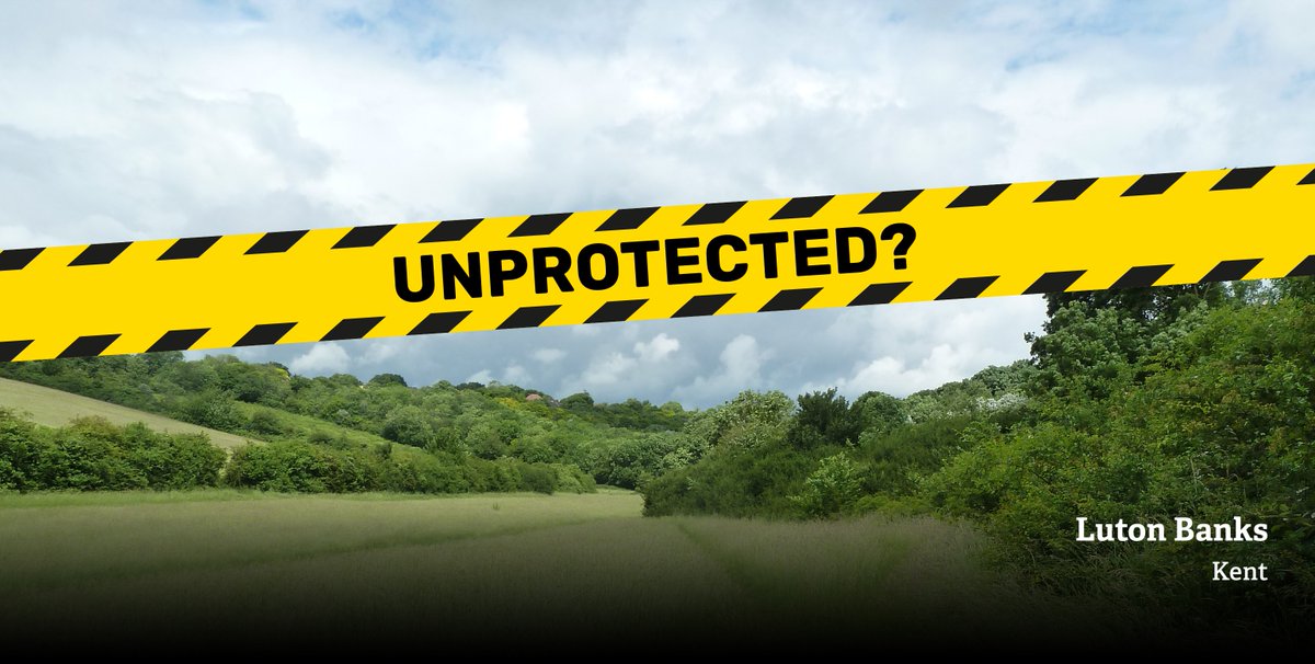 KentWildlife's tweet image. Kent’s Local Wildlife Sites will be left unprotected if proposed changes to planning policy get through. Please ask the government to reverse this decision wtru.st/saveLWS #ActSwiftly #UnprotectedSites