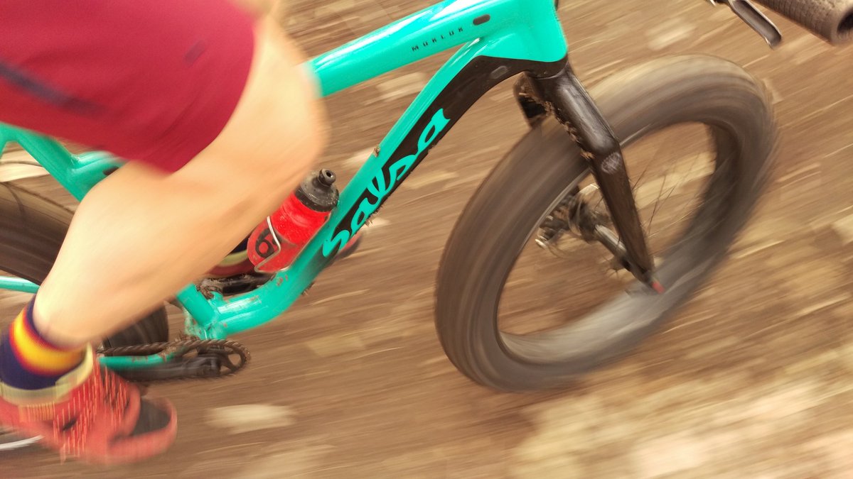 GO RIDE! 

Sechler and Heath Creek are beautiful right now. Tell your friends!