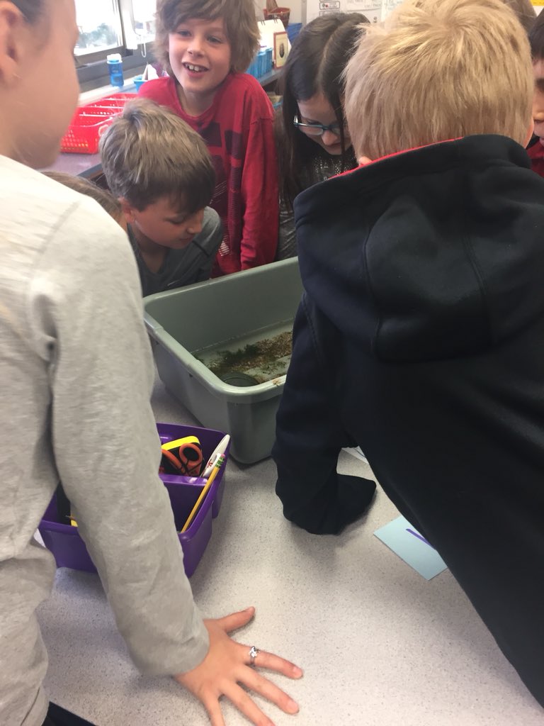 Kristen Goode tweet media