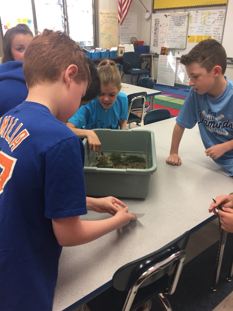 Kristen Goode tweet media