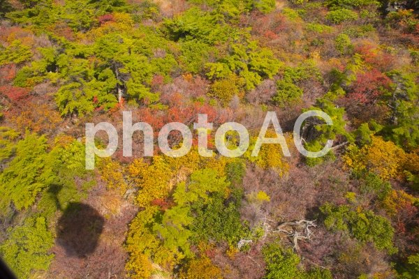 白根山 紅葉→http://bit.ly/2vVAk0H 詳細→https://a.r10.to/hvObgJ #写真好きな人と繋がりたい #風景写真 #草津 #湯釜 #photo #photography