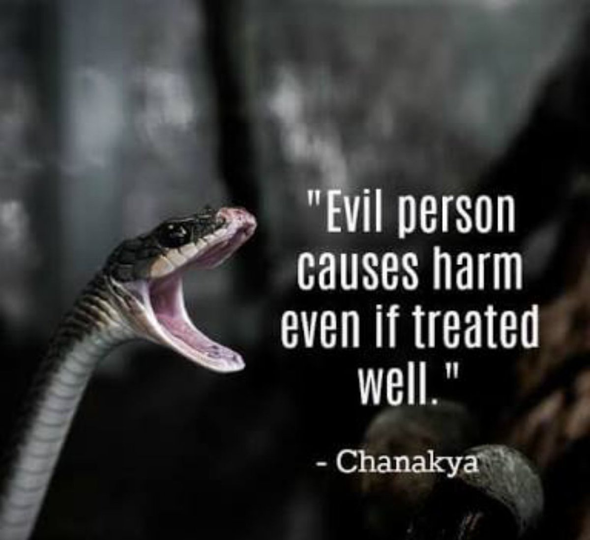 puneethtp's tweet image. Don't vote by watching their innocence now, later you won't have any option to choose even if they spit venom.
#prajaakeeya
#upp
@nimmaupendra 
#commonmanpower