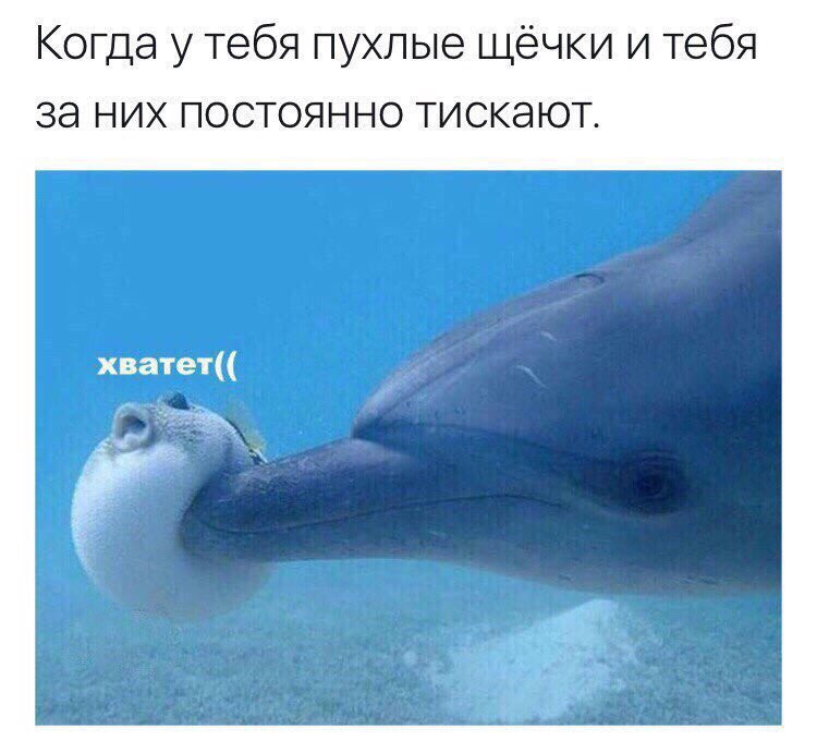 Лер♡чка Одоева (@odoevalera) on Twitter photo 