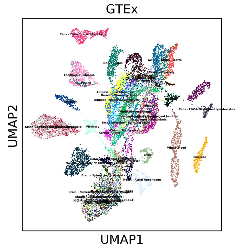 gokcen's tweet image. #scanpy can also analyse bulk RNA-seq data 😎 Partition-based graph abstraction (PAGA) and UMAP results on 11k #GTEx samples are really cool.