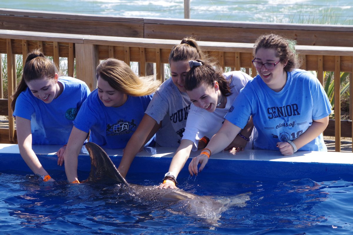 thefalions's tweet photo. Our Marine Biology students recently took a field trip to @MarinelandFL Marineland Dolphin Adventure in St. Augustine! They went on a behind-the-scenes tour and even participated in a ‘splash and play’ session with their dolphins! #FAisFamily #FAscience #FAfieldtrips https://t.co/FJHCK4WQ9q