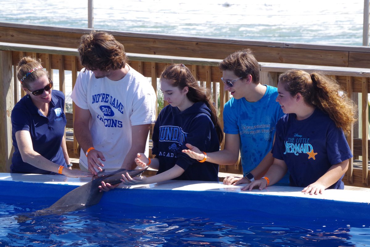 thefalions's tweet photo. Our Marine Biology students recently took a field trip to @MarinelandFL Marineland Dolphin Adventure in St. Augustine! They went on a behind-the-scenes tour and even participated in a ‘splash and play’ session with their dolphins! #FAisFamily #FAscience #FAfieldtrips https://t.co/FJHCK4WQ9q
