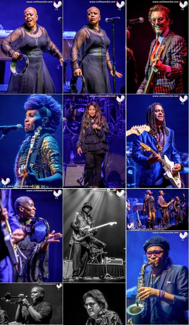 CarbieWarbie's tweet photo. 50 FABBO PHOTOS from @nctpaustralia @prince tribute on @GigBill! 
Thank you @Circa41Official for a wonderful evening of music, celebrating the life of Prince at @artscentremelb. 💜☔️ 💔⚡️🐓 #Prince
CLICK THIS LINK:
https://t.co/dLbAiHhoiR https://t.co/MhRZXc72kL