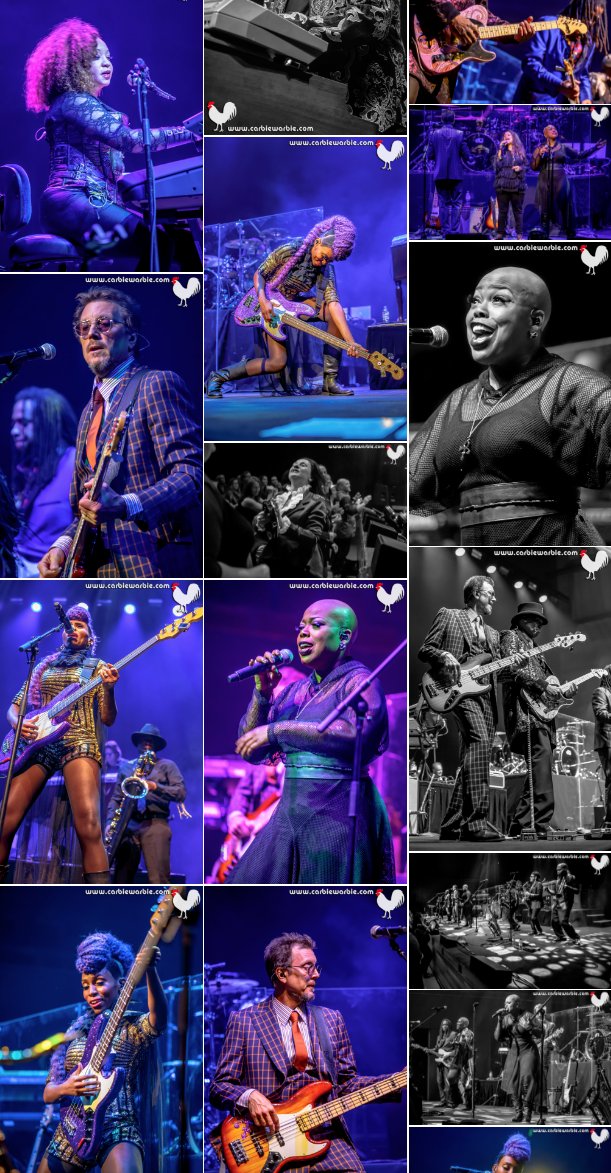 CarbieWarbie's tweet photo. 50 FABBO PHOTOS from @nctpaustralia @prince tribute on @GigBill! 
Thank you @Circa41Official for a wonderful evening of music, celebrating the life of Prince at @artscentremelb. 💜☔️ 💔⚡️🐓 #Prince
CLICK THIS LINK:
https://t.co/dLbAiHhoiR https://t.co/MhRZXc72kL