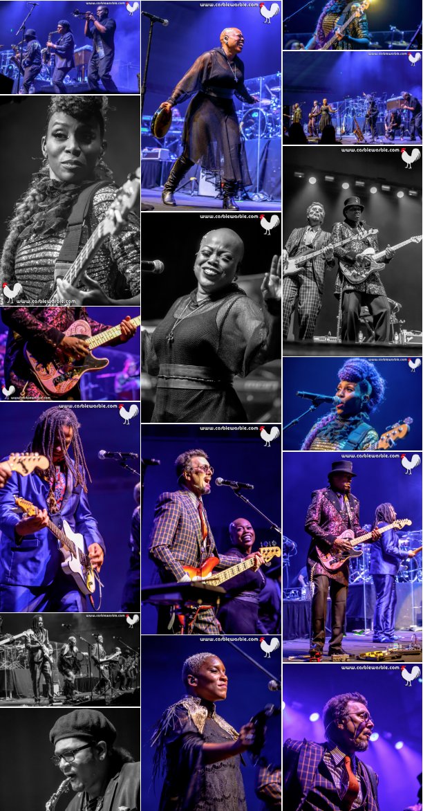 CarbieWarbie's tweet photo. 50 FABBO PHOTOS from @nctpaustralia @prince tribute on @GigBill! 
Thank you @Circa41Official for a wonderful evening of music, celebrating the life of Prince at @artscentremelb. 💜☔️ 💔⚡️🐓 #Prince
CLICK THIS LINK:
https://t.co/dLbAiHhoiR https://t.co/MhRZXc72kL