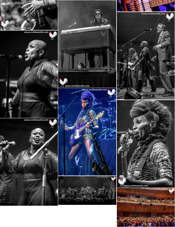 CarbieWarbie's tweet photo. 50 FABBO PHOTOS from @nctpaustralia @prince tribute on @GigBill! 
Thank you @Circa41Official for a wonderful evening of music, celebrating the life of Prince at @artscentremelb. 💜☔️ 💔⚡️🐓 #Prince
CLICK THIS LINK:
https://t.co/dLbAiHhoiR https://t.co/MhRZXc72kL