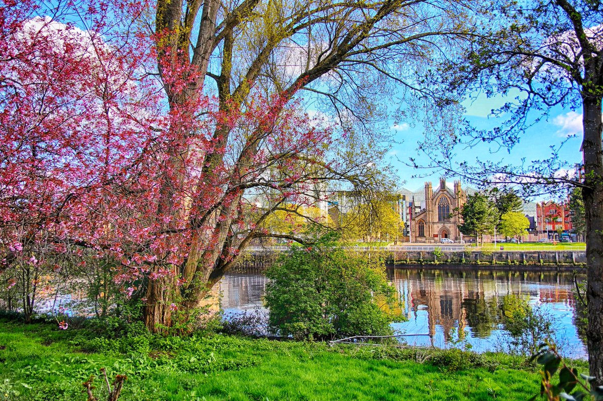 Naburn2's tweet photo. It really is #SpringTime in #Glasgow today with St Andrews Cathedral framed by #nature and #reflections in the #RiverClyde. 
@GlasgowNPC @peoplemakeGLA @VisitScotland @glasgowlife @Glasgow_Live @GlasgowCity https://t.co/eBpCpLkOJG