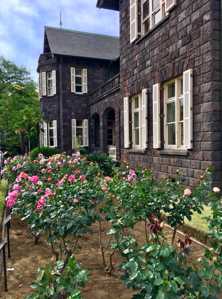 maorinlemon789's tweet image. 旧古河庭園の綺麗な薔薇庭園です🌹紅茶でも飲めたら優雅だろうなぁ〜！また行きたい場所です。

A gorgeous rose garden at Kyu-Furukawa garden, Tokyo. Seeing beautiful roses made me really relaxed :) Wish I could drink a cup of black tea there! 

#SpringinTokyo #Tokyo #JapanTravel