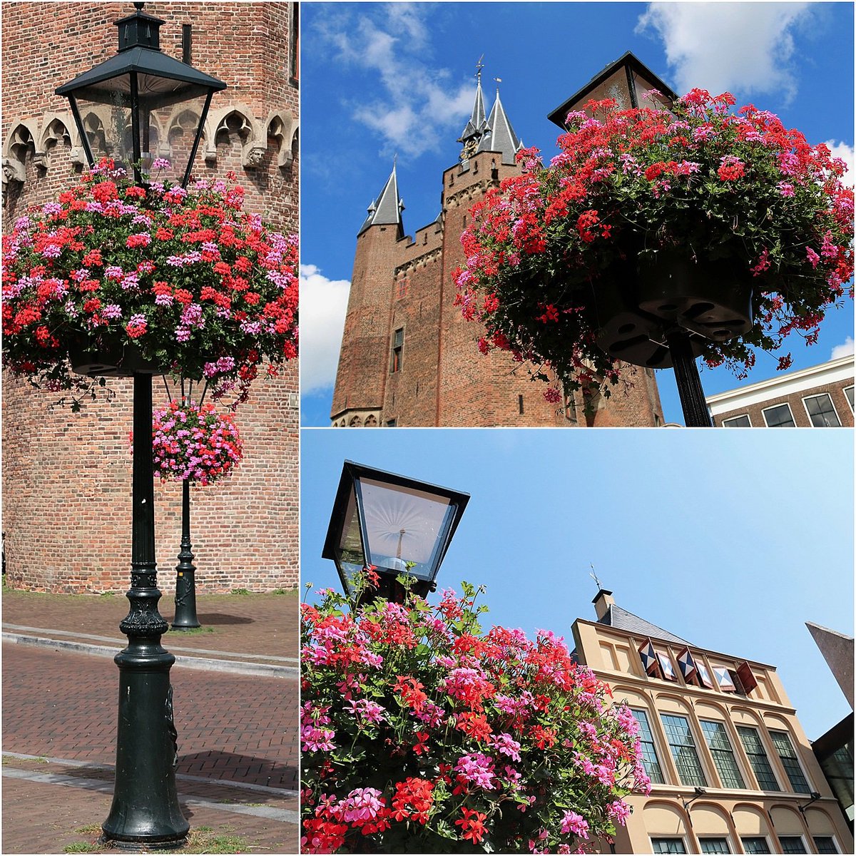 De eerste bloembakken hangen weer! ZwolleFonds fleurt de komende weken de stad weer op met prachtige bloembakken. Ze blijven tot circa oktober hangen!