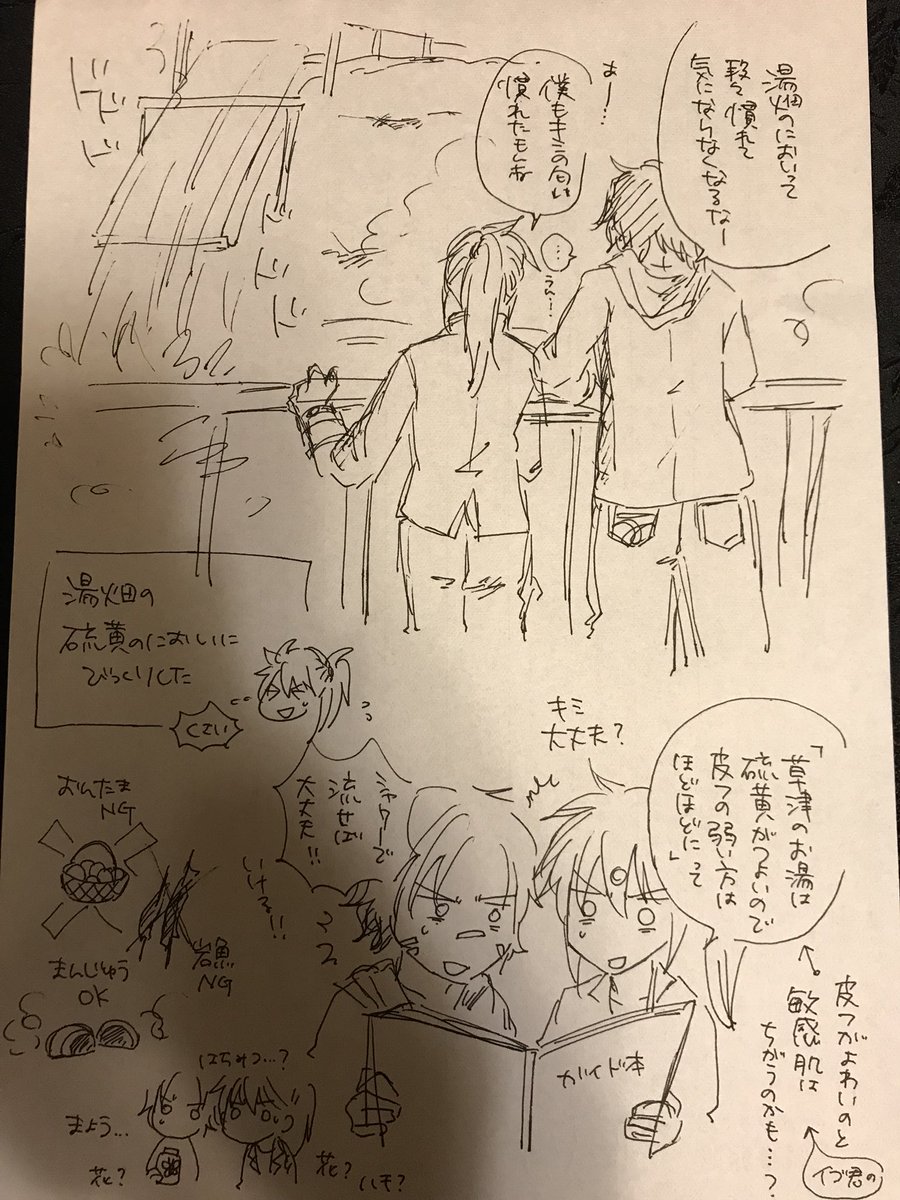 湯畑めっちゃ硫黄臭くてびっくりした。出てきたばっかのお湯は黄色なんだけど、溜まってるお湯はきれいなエメラルドグリーンなんだよね。岩盤中の鉄分かなんかと化学反応起こしてるのかと思ったら、強酸性かつ高温の環境で生存できる特殊な藻の色が、透明な湯を透かして見えてるそうな。ほへぇ〜