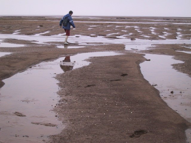 Dominantly sandy tidal deposits with dunes and compound dunes (terminology Dalrymple) occur mostly in upper Cobequid Bay (loc 8 and 9) and along the Cheverie Shore (loc 7).  #MinasBasinTidal