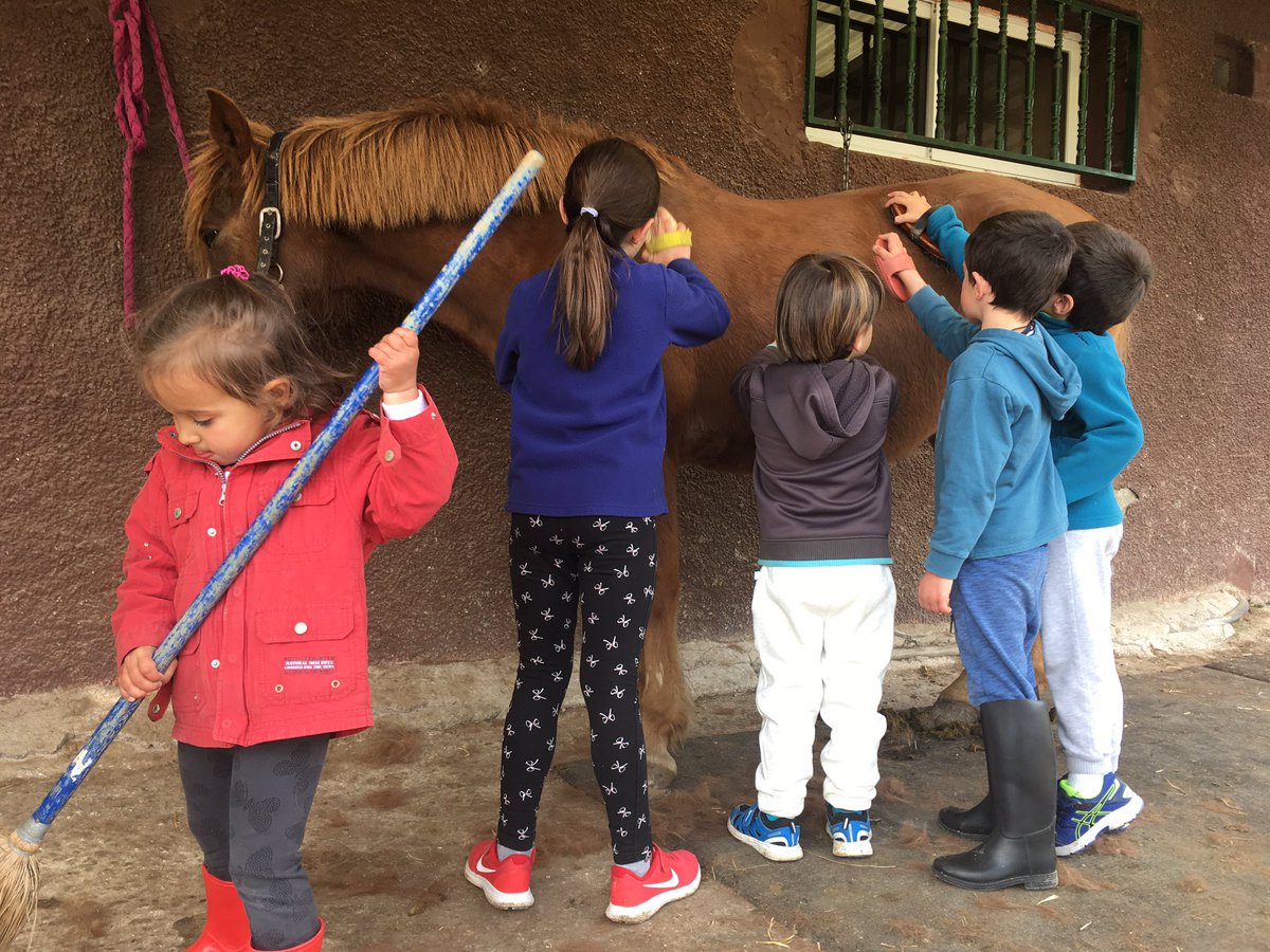 hipicatovarich's tweet photo. Terminando nuestro #diasincole en Ranitas y Tovarich. Actividades de cepillado, paseos en Pony y caballo, aprendemos lo que comen los caballos y muchas actividades más!!! Que mejor plan para los peques cuando los papis tienen que trabajar!!!

#campamentos
#centroecuestretovarich https://t.co/r0ijtXVWoe
