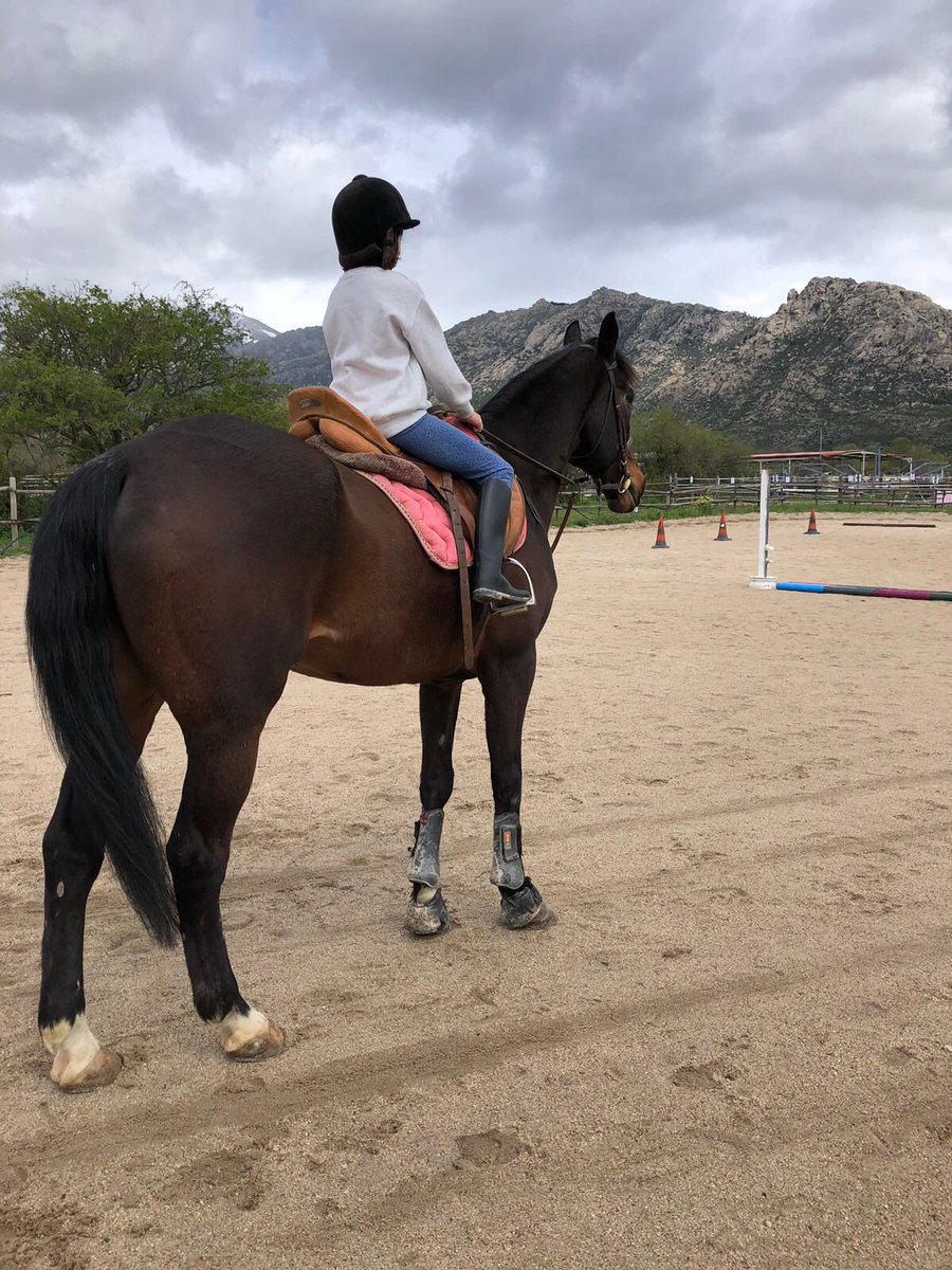 hipicatovarich's tweet photo. Terminando nuestro #diasincole en Ranitas y Tovarich. Actividades de cepillado, paseos en Pony y caballo, aprendemos lo que comen los caballos y muchas actividades más!!! Que mejor plan para los peques cuando los papis tienen que trabajar!!!

#campamentos
#centroecuestretovarich https://t.co/r0ijtXVWoe