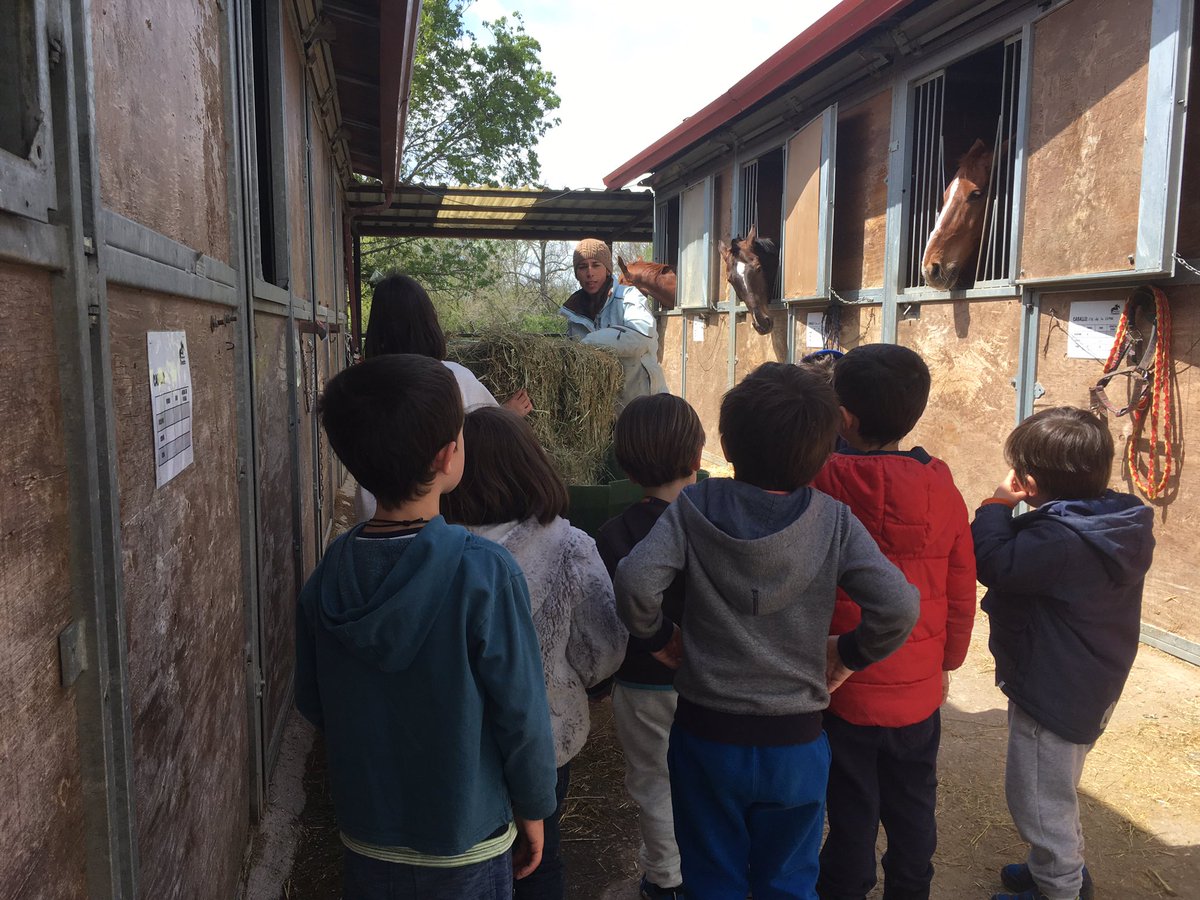 hipicatovarich's tweet photo. Terminando nuestro #diasincole en Ranitas y Tovarich. Actividades de cepillado, paseos en Pony y caballo, aprendemos lo que comen los caballos y muchas actividades más!!! Que mejor plan para los peques cuando los papis tienen que trabajar!!!

#campamentos
#centroecuestretovarich https://t.co/r0ijtXVWoe