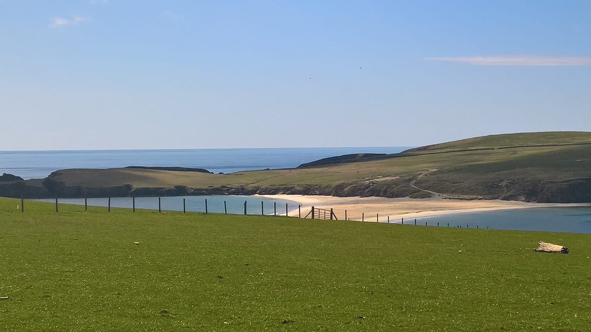 AdamHenson's tweet photo. Filming up in Shetland today - beautiful weather and scenery with seals basking in the sunshine https://t.co/RwoqlwbJnu
