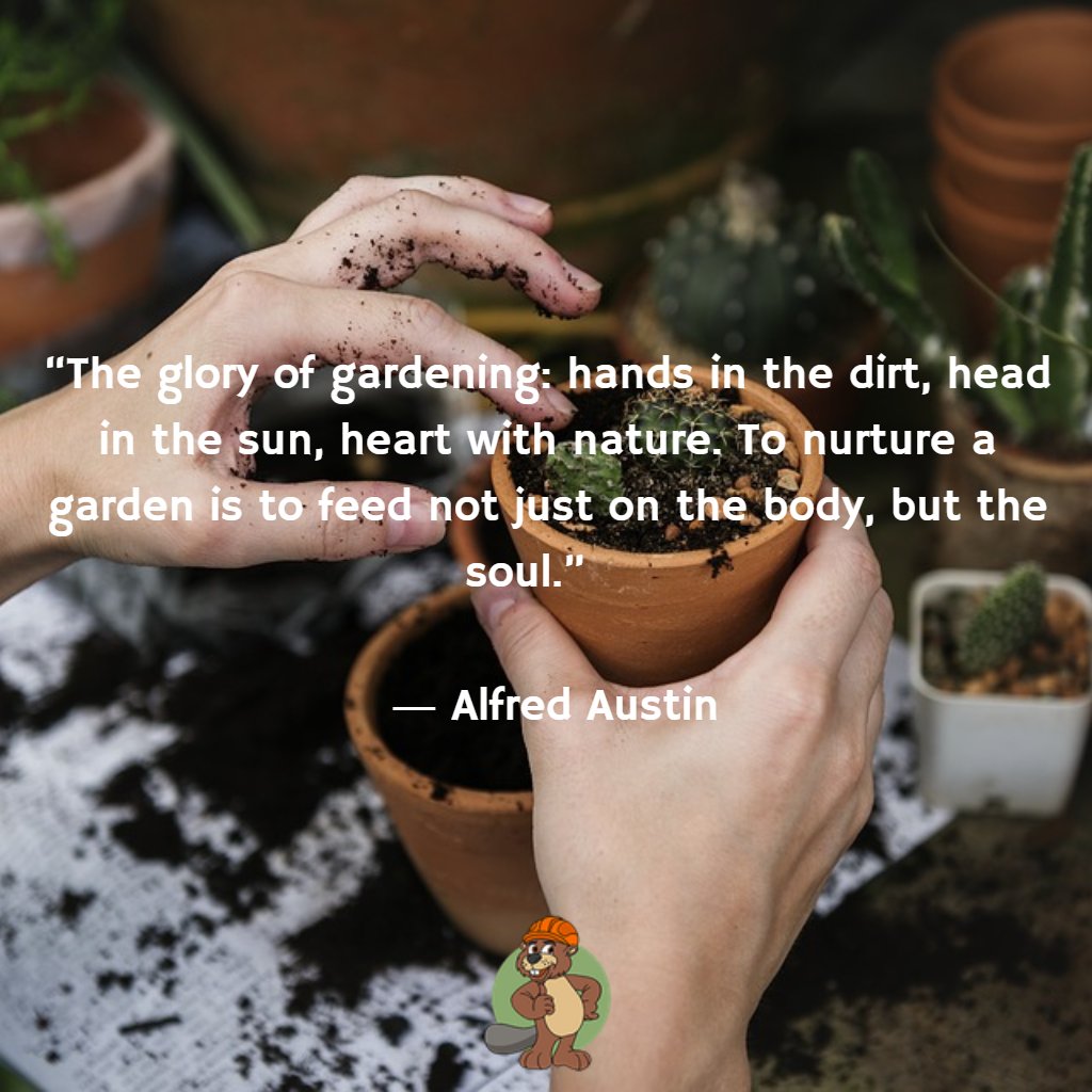 “The glory of gardening: hands in the dirt, head in the sun, heart with nature. To nurture a garden is to feed not just on the body, but the soul.”   
  
 ― Alfred Austin
