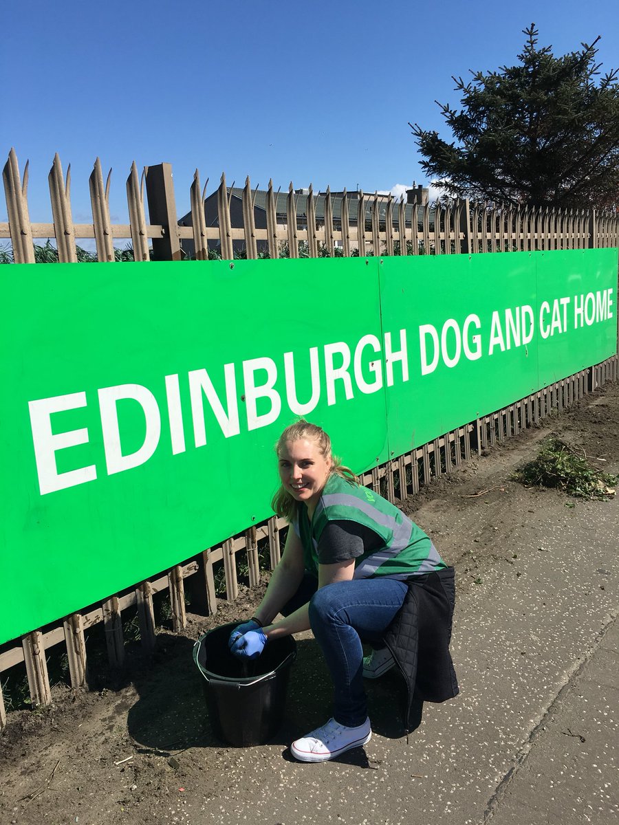 Haymarket team hard at work cleaning and weeding   #edinhub #Haymarket10