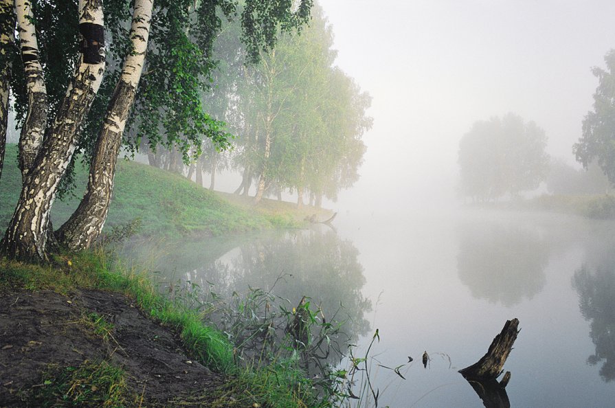 Красоты России tweet media