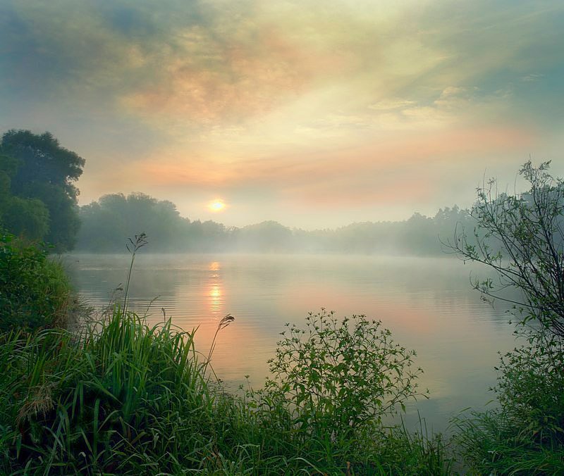 Красоты России tweet media