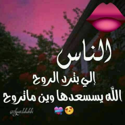 nada_bash1 tweet picture