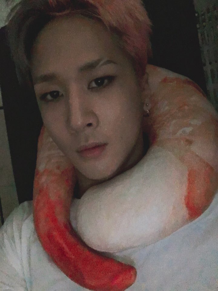 Ini gw make udang buat neck pillow/?