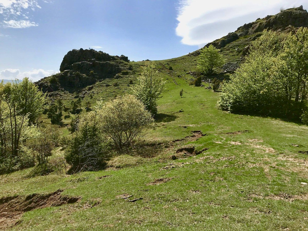 PrincipatoLandi's tweet photo. Successo di pubblico e giornata splendida sul #MonteLama, tra #Appennino #parmense e #piacentino a #Bardi. In simulazione anche gli studenti del corso #GuideAmbientaliEscursionistiche di @FormazioneParma patrocinato @GAE_AIGAE. Guida e docente della giornata @davide_e_galli https://t.co/s8qfFNjedv