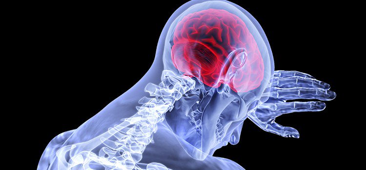 High Regard Show tweet media