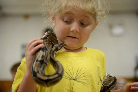 CrainPittsburgh's tweet photo. Feel snakes slither across your body in VR with this jacket by @Disney. Via TribLive https://t.co/znkymJuk14 https://t.co/rHKATGB3Kt