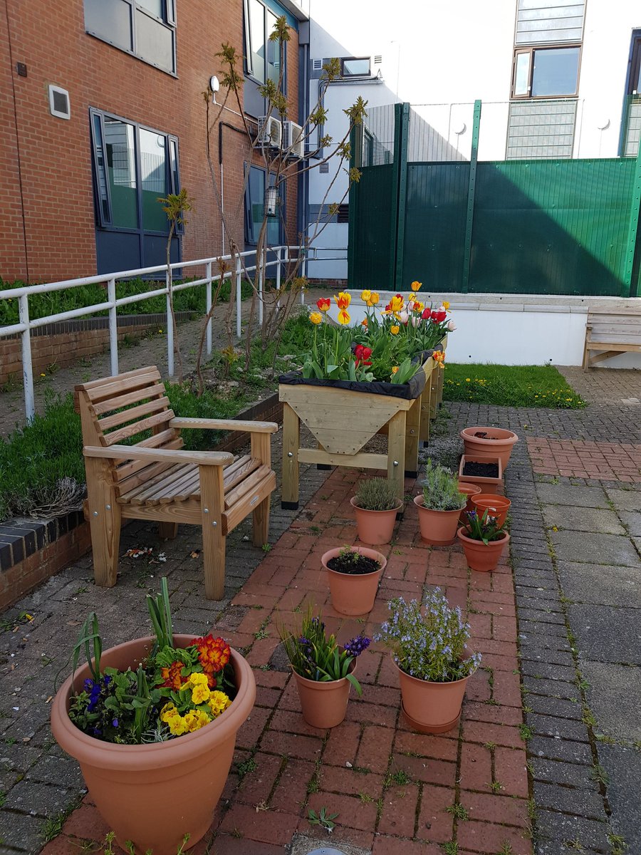 Meridian Ward tweet media