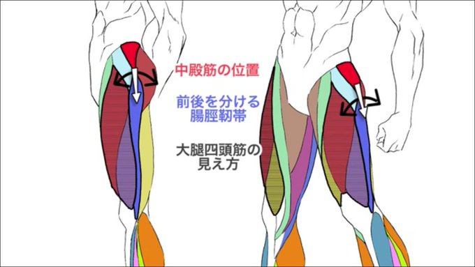 筋肉の描き方のtwitterイラスト検索結果