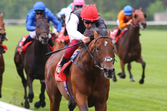 lefebvrefabien1's tweet photo. I m very happy 😃 to ride #WildChief 🐎 yesterday in his very good 2018 come back (6th) at @paris_longchamp in the G1 #PrixGanay.
Photos: @AprhChantilly https://t.co/TPREdLMR4A