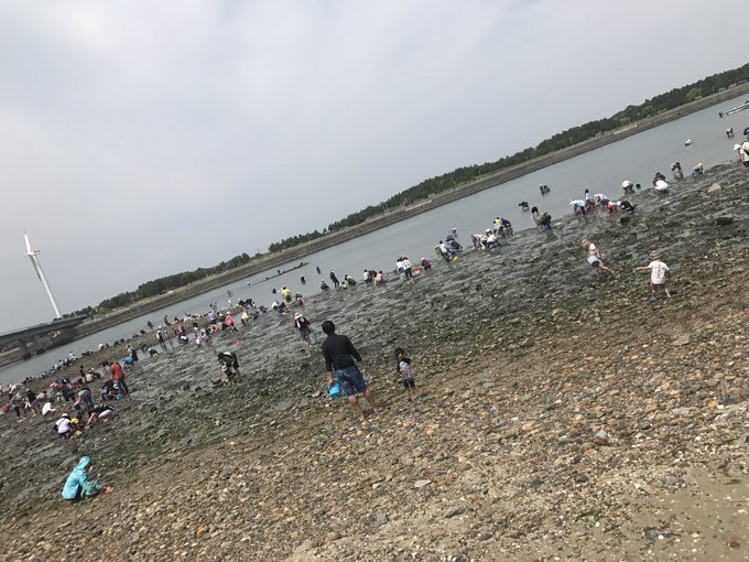 関西圏の潮干狩りでマテ貝が取れるスポット 時期や潮位どれくらいの時がいい 猫の手も借りたい