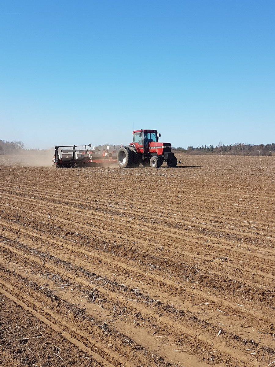 Pasztor79's tweet photo. It's the most wonderful time of the year! ☉🌽🚜💪#plant18 #ontag https://t.co/VrAlIrZ29m