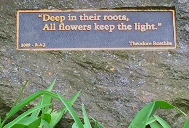 alanalda's tweet photo. A plaque on a rock in the park. There's an idea - Let the light in all the way down to our roots. https://t.co/sifhJ01gmn