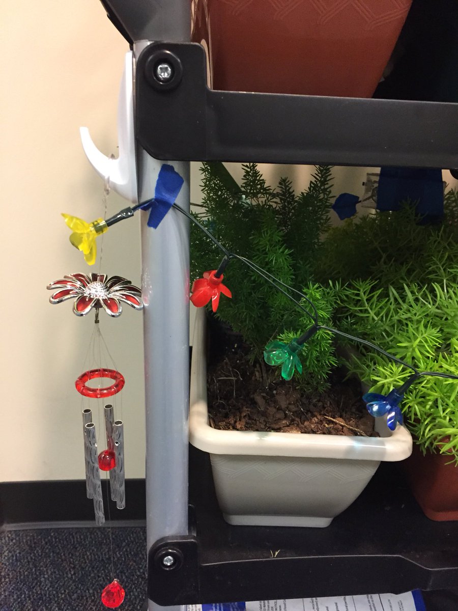 BlakeyMeghan's tweet photo. These thoughtful Girl Scouts created a sensory garden for our @BenferKISD S’s to use as a way to cool down and be mindful of how things smell, sound and feel. These are two @StrackKISD #foreverlearners and #valuesdrivenleaders #promise2purpose @KleinISD https://t.co/U8bRSgBNy6
