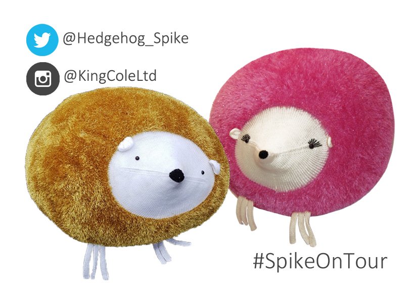 Happy #HedgehogWeek from Suzie &amp; Spike, our giant touring hedgehogs! 🦔
Follow them: <a href="/Hedgehog_Spike/">Spike The Hedgehog</a>  
📸Tag your pics with #SpikeOnTour 
Raise awareness: britishhedgehogs.org.uk/hedgehog-aware…
#HedgehogAwarenessWeek