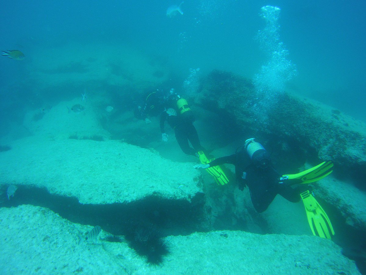 PVidaLanzarote's tweet photo. Domingo #puravida en #lagraciosa😎🎉! En vuestro paso por #Lanzarote🌵🌞🌴 también podemos ir de #buceo a este paraíso submarino. Una isla mágica con una vida marina excepcional🐟🐡🐙🦑! Planazo vamos🔝! 

Más info aquí:  
https://t.co/UJktOFQzW0 https://t.co/qZ1hxDC1zT