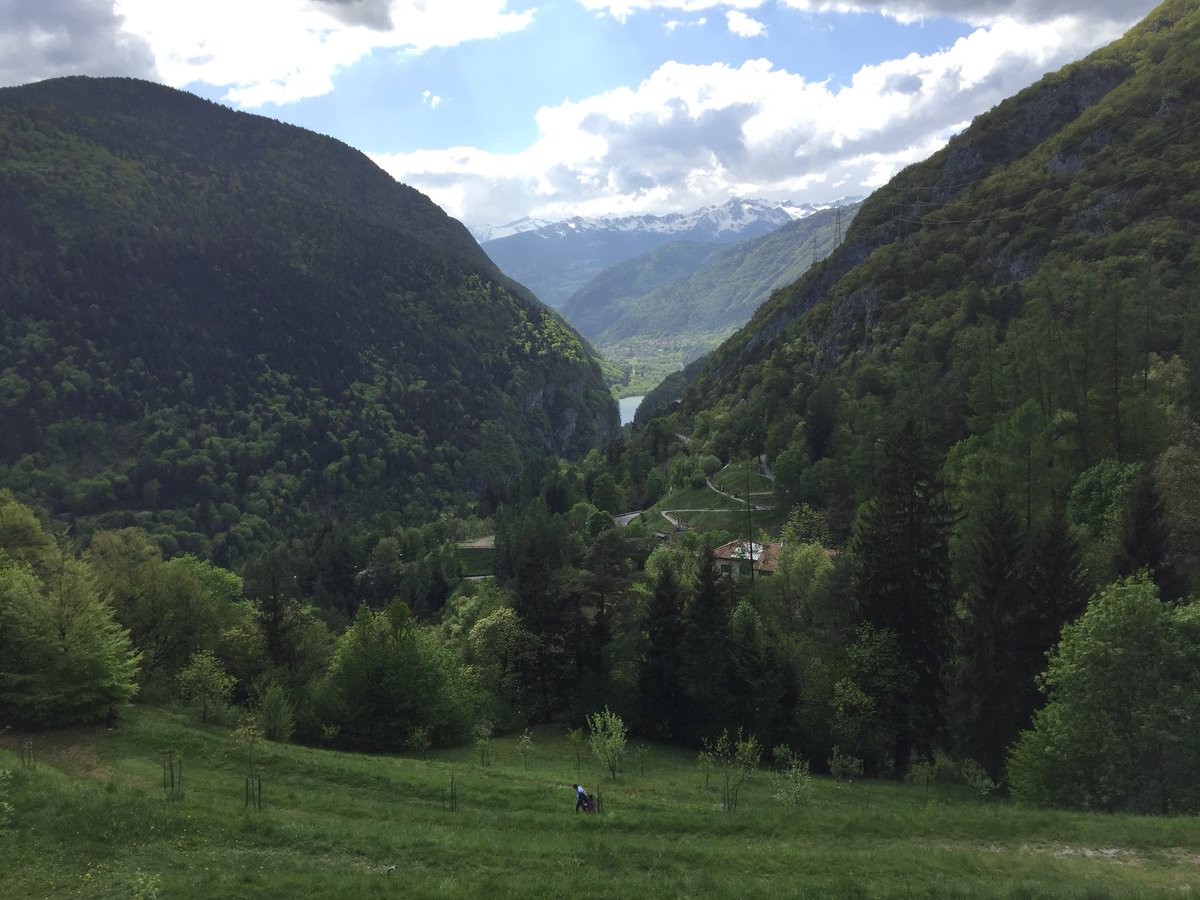ctrilly's tweet photo. #Trentino #Stenico #beimomenti #natura #ParcoNaturaleAdamelloBrenta https://t.co/tSUxdr02Fv
